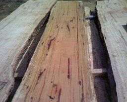tree tables