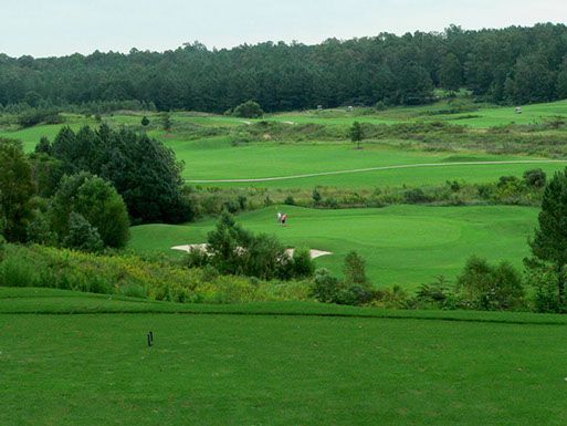A golf course with a lot of green grass and trees in the background.