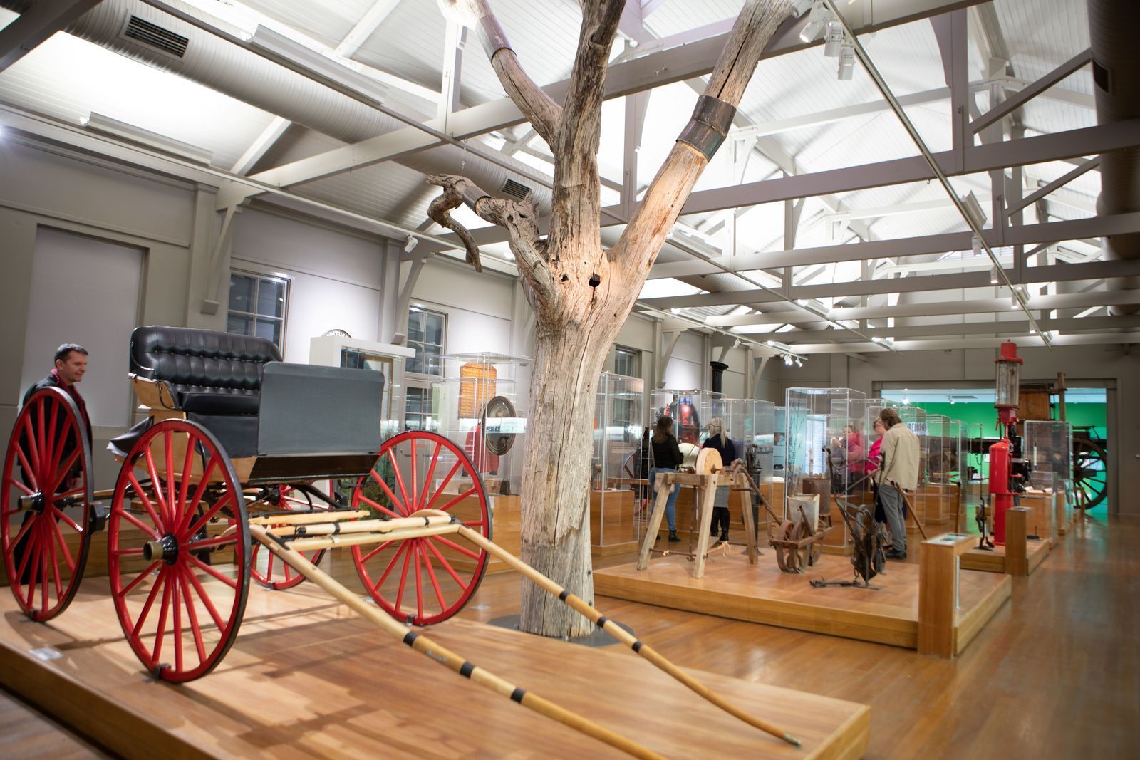 A museum with a tree in the middle of it and a horse drawn carriage on display.