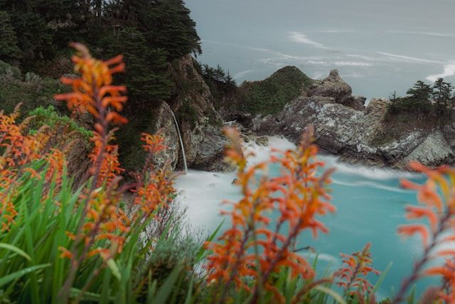 cremation services Fulton, IL