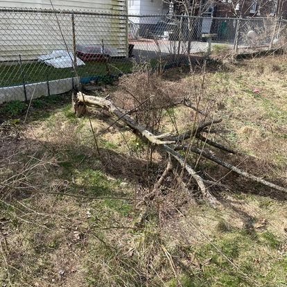 hauling services near me
