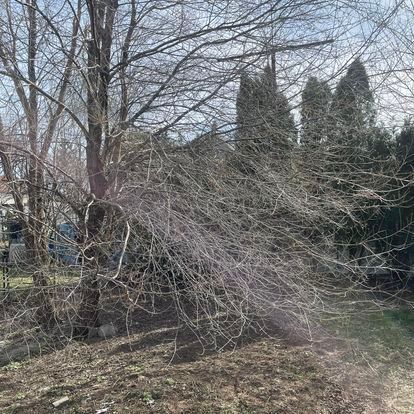 hauling services near me
