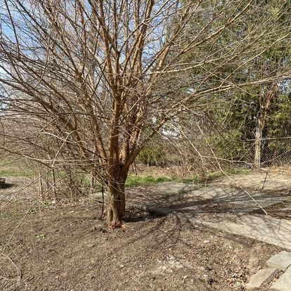 junk removers near me
