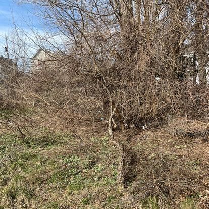 commercial junk removal fultonville ny
