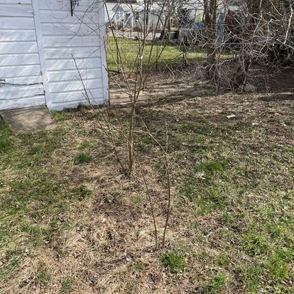 commercial junk removal fultonville ny
