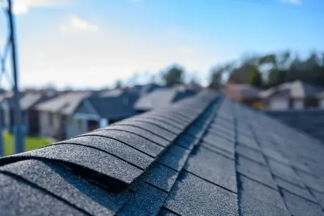 A gutter guard installed on a residential roof.