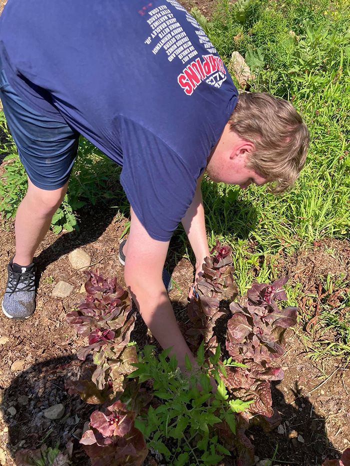 person working in the garden