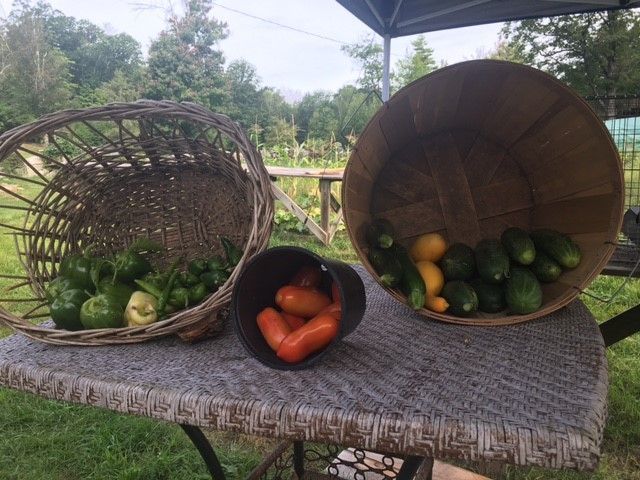 baskets of veggies
