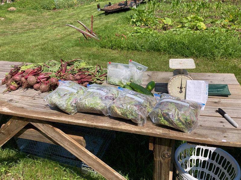 table of farm fresh veggies