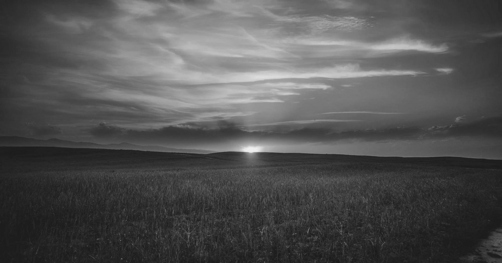 Black and white landscape of a field with tall grass under a cloudy sky at sunset.
