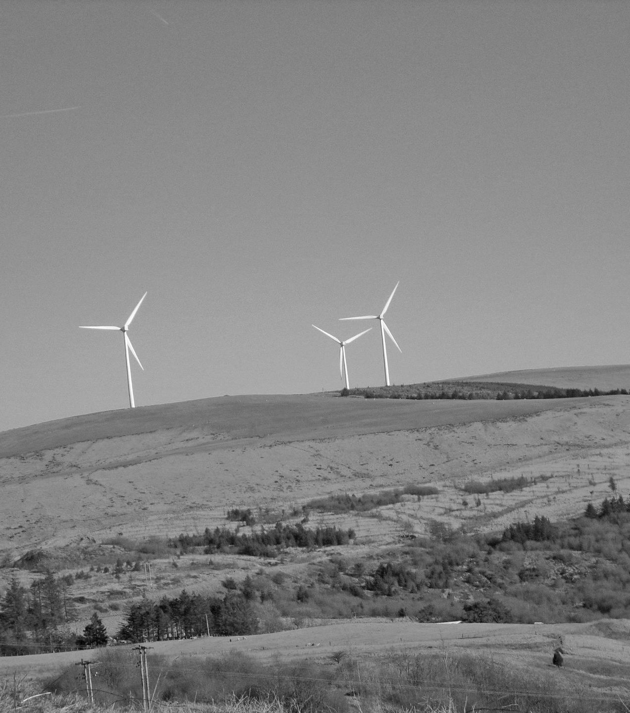 Wind turbines on a grassy hill under a clear sky.