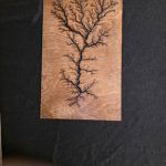 Wood plaque with a black Lichtenberg figure resembling a tree.
