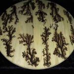 Brown dendritic patterns on a light-colored, circular surface.