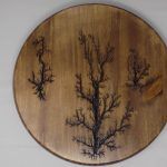 Wooden circle with dark, branching Lichtenberg figures burned into the wood.