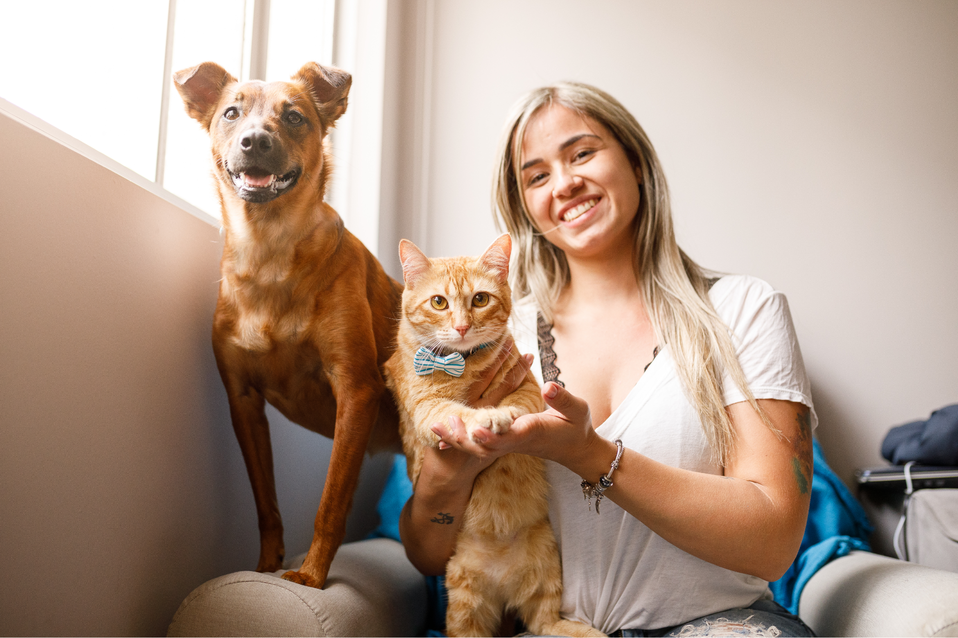 All the household members extremely enjoy a new heating and boiler. A woman is sitting on a couch with a dog and a cat.