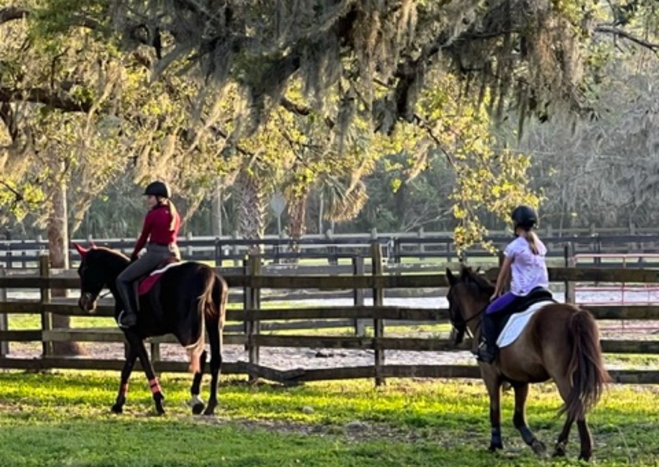 Two people are riding horses in a field.