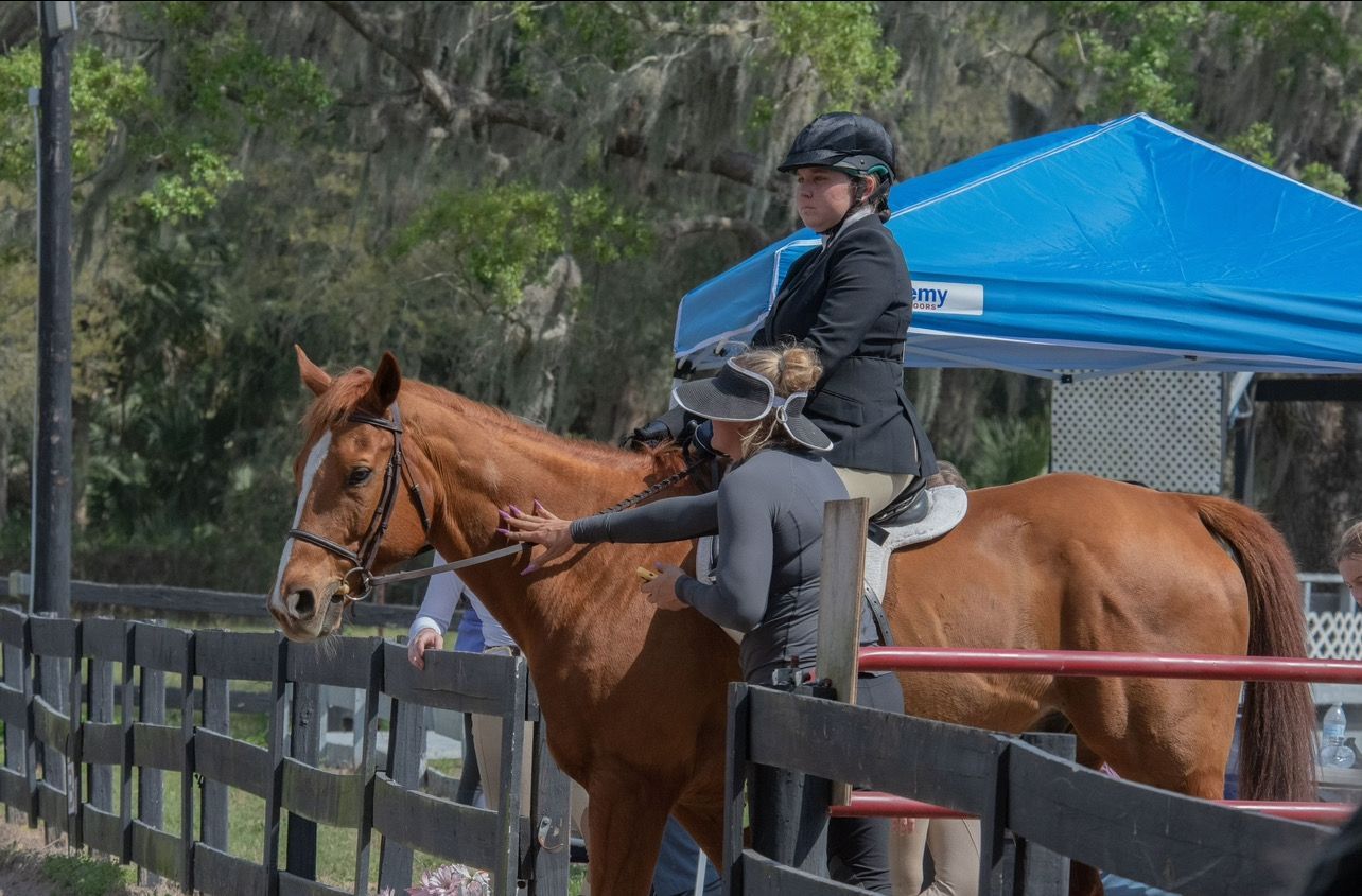 A woman is riding a brown horse in a fenced in area.