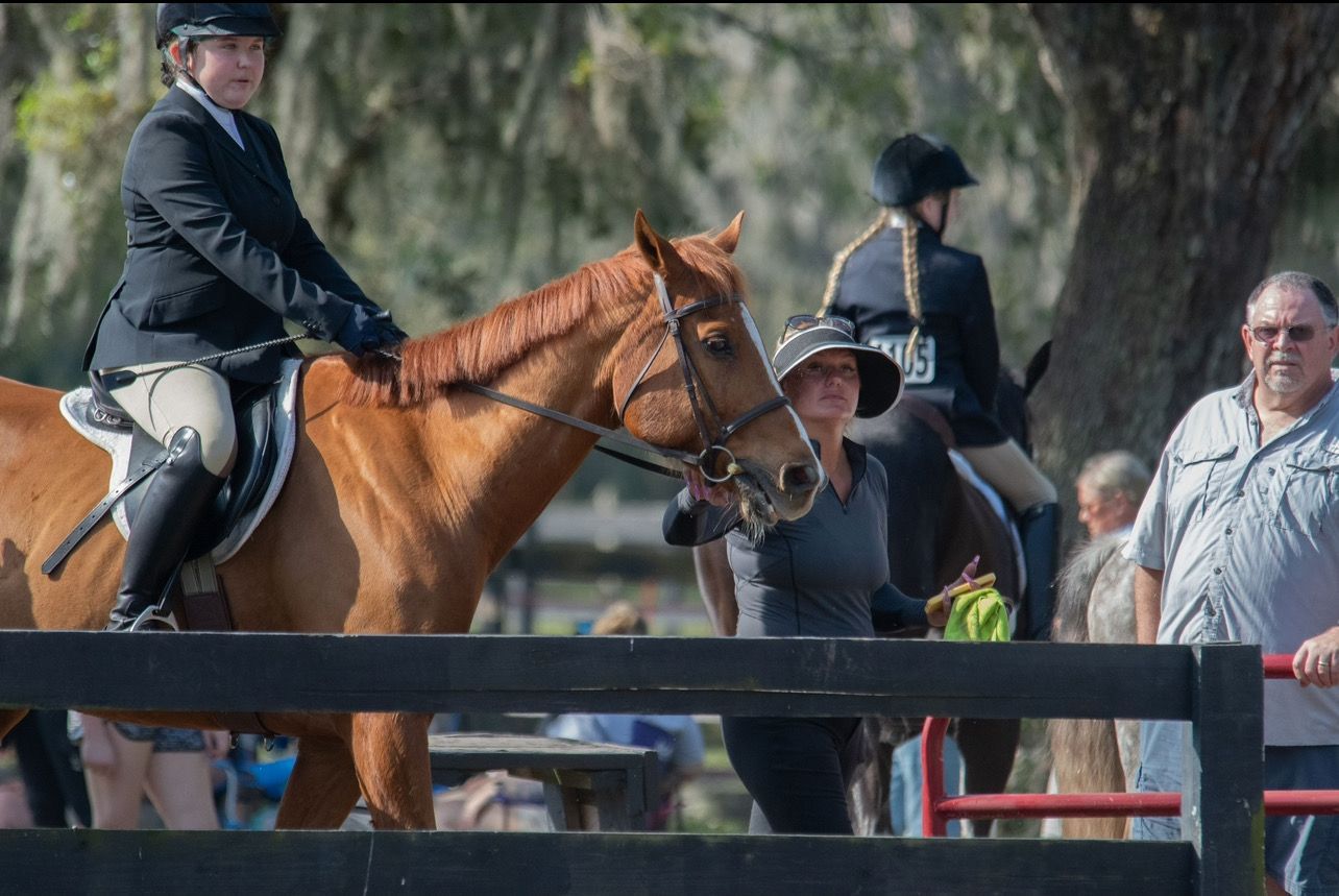 A man is riding a brown horse behind a fence.