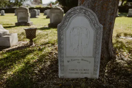 Gravestone with carved weeping willow in a sunlit graveyard.