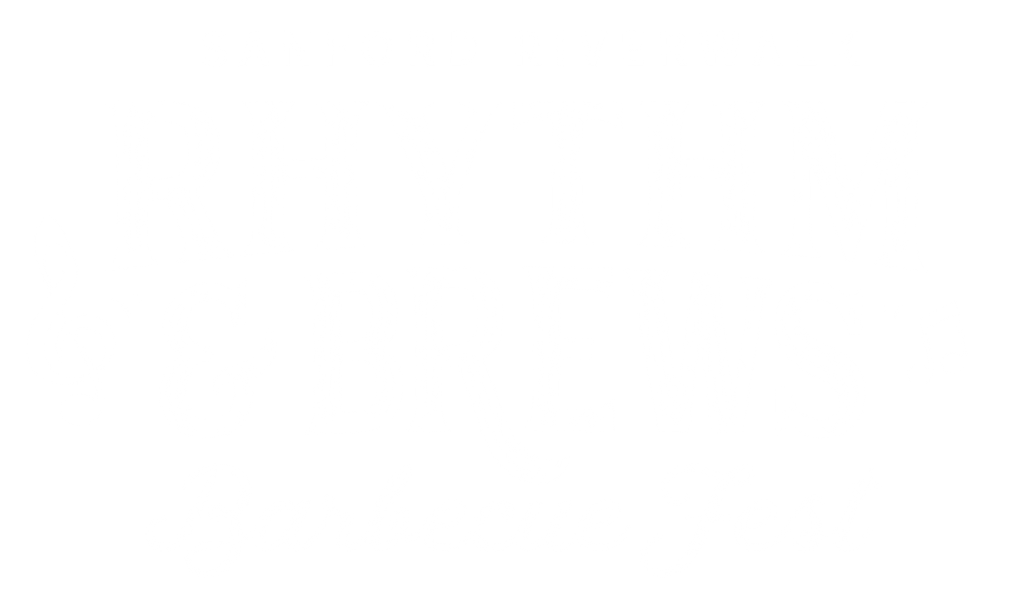 Sanford BBQ Fest - Rhythm & Brews Barbecue Fest