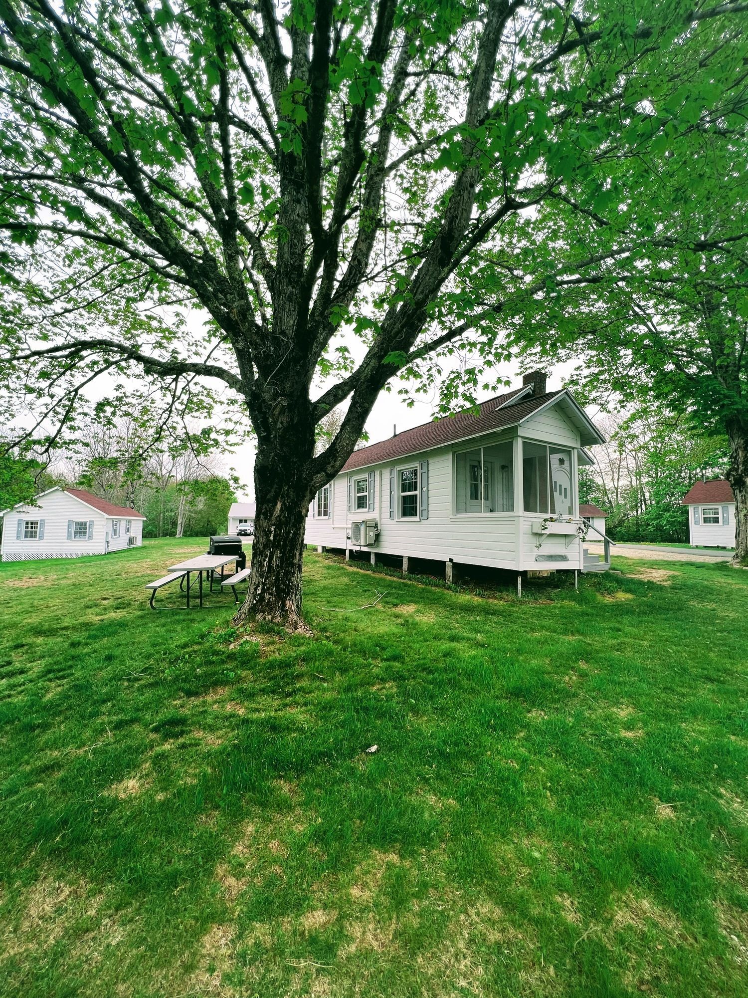 A small white house is sitting in the middle of a lush green field.