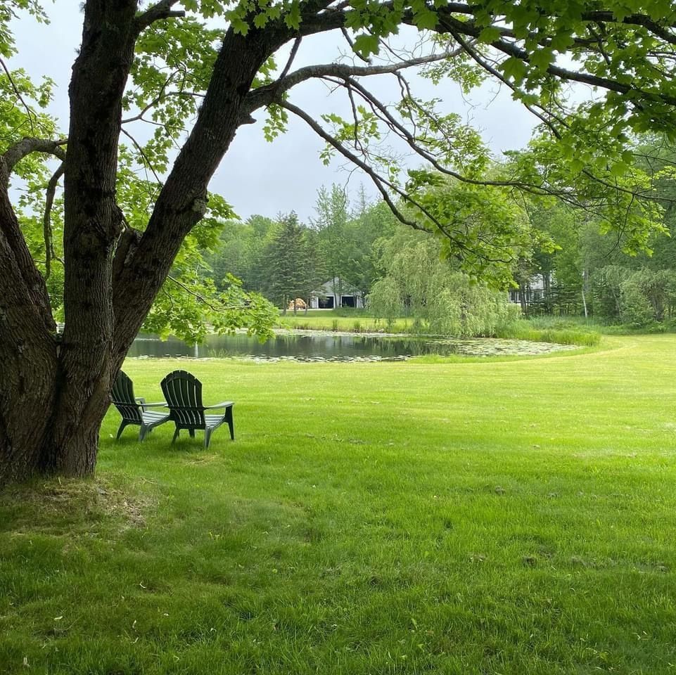 Two lawn chairs under a tree in a grassy field