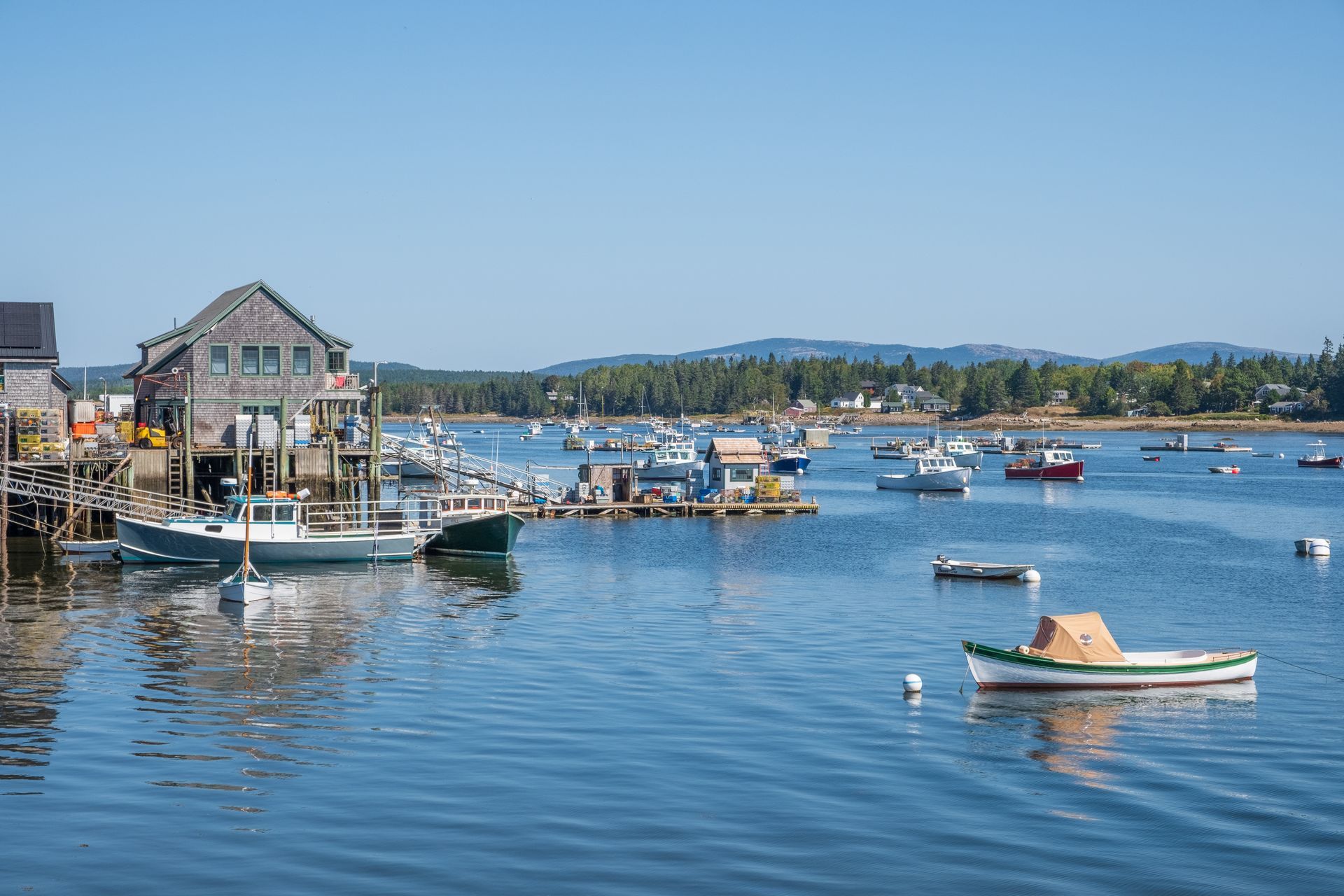A harbor filled with boats and houses on a sunny day.