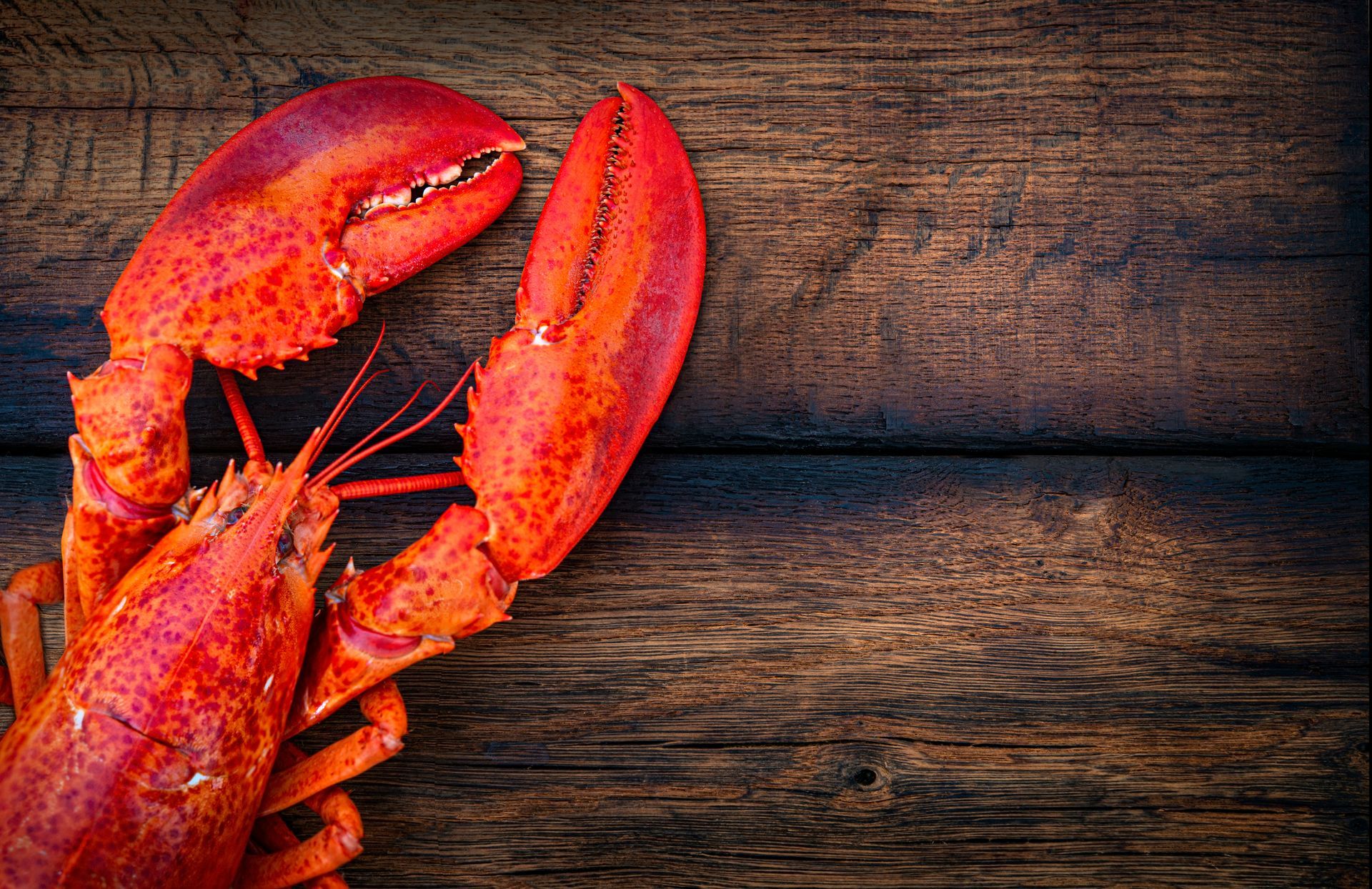 A lobster is sitting on a wooden table.