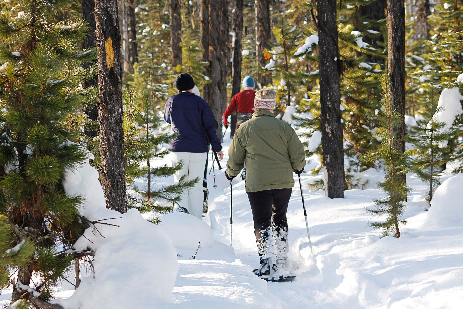 A group of people are snowshoeing through a snowy forest