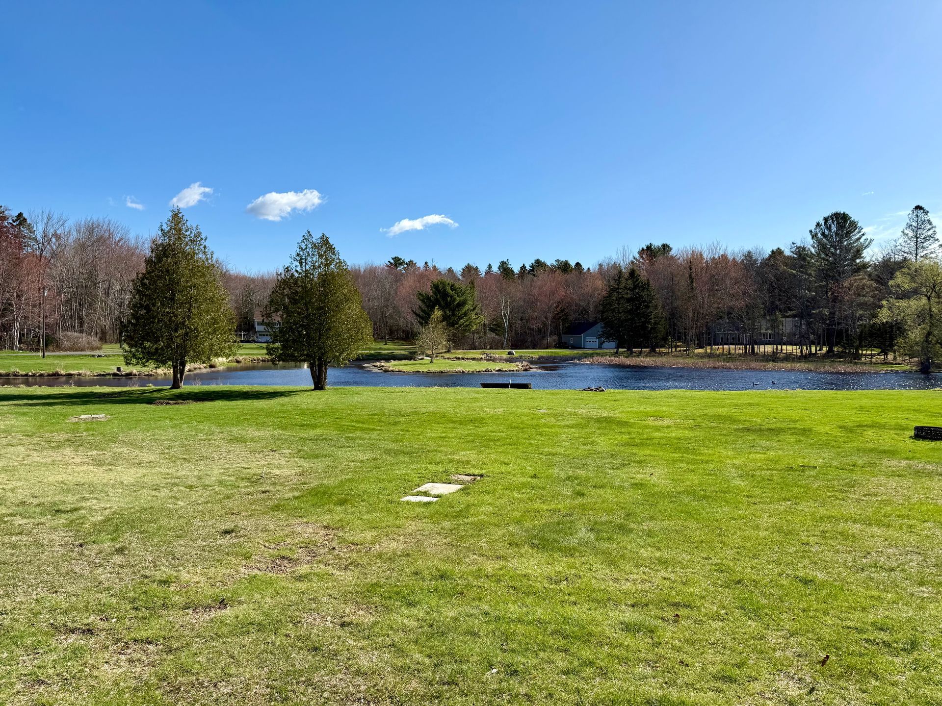 A large grassy field with trees and a lake in the background