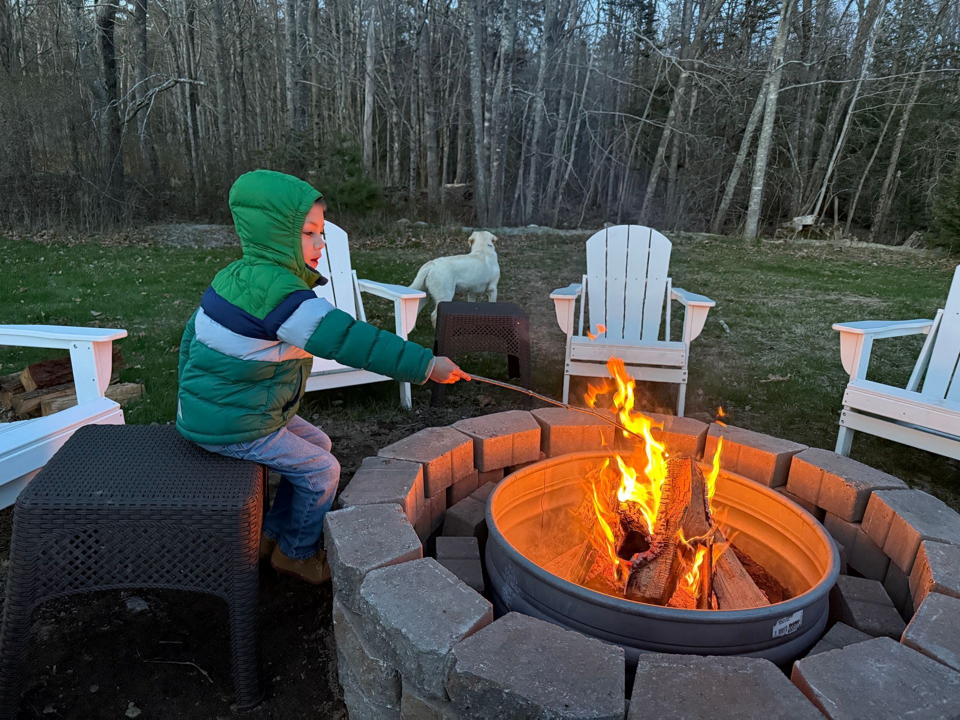 A young boy is roasting marshmallows over a fire pit.