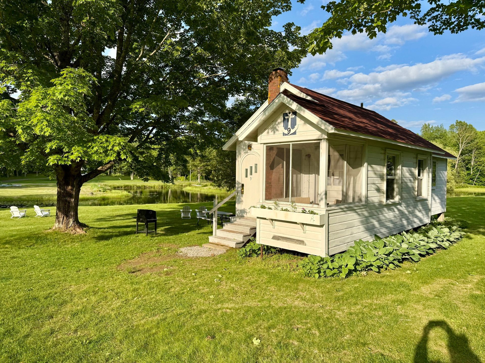 Small white cottage with a red roof in a sunny grassy yard beside a large tree