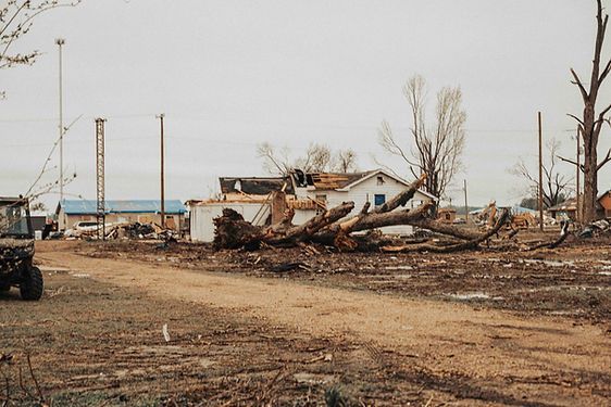 Destroyed House and Trees