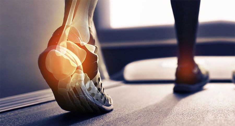 ORTIZ INTERNACIONAL SA DE CV