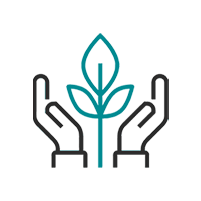 Mains tenant une plante sarcelle, représentant la croissance ou le soin.