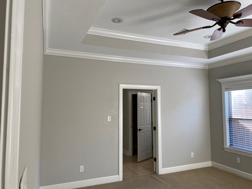 Residential painters in Arkansas photo