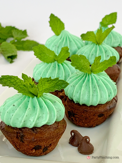 Devils Food Cake Mini Cake Bites with Mint Frosting