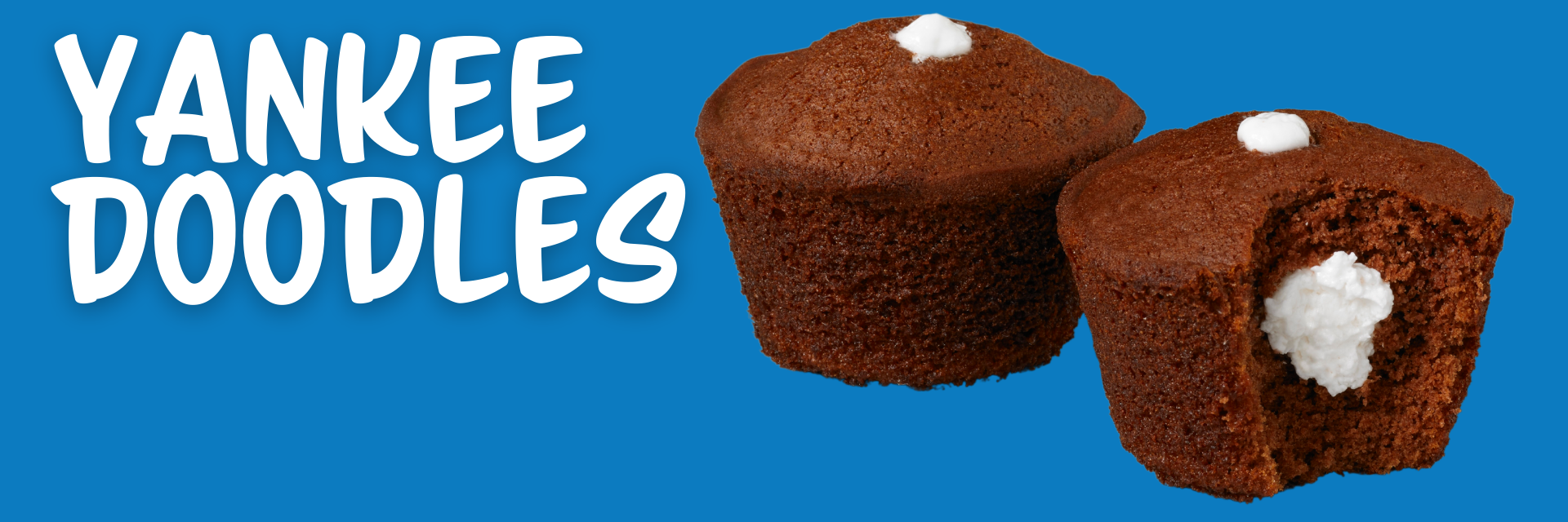 header of yankee doodles