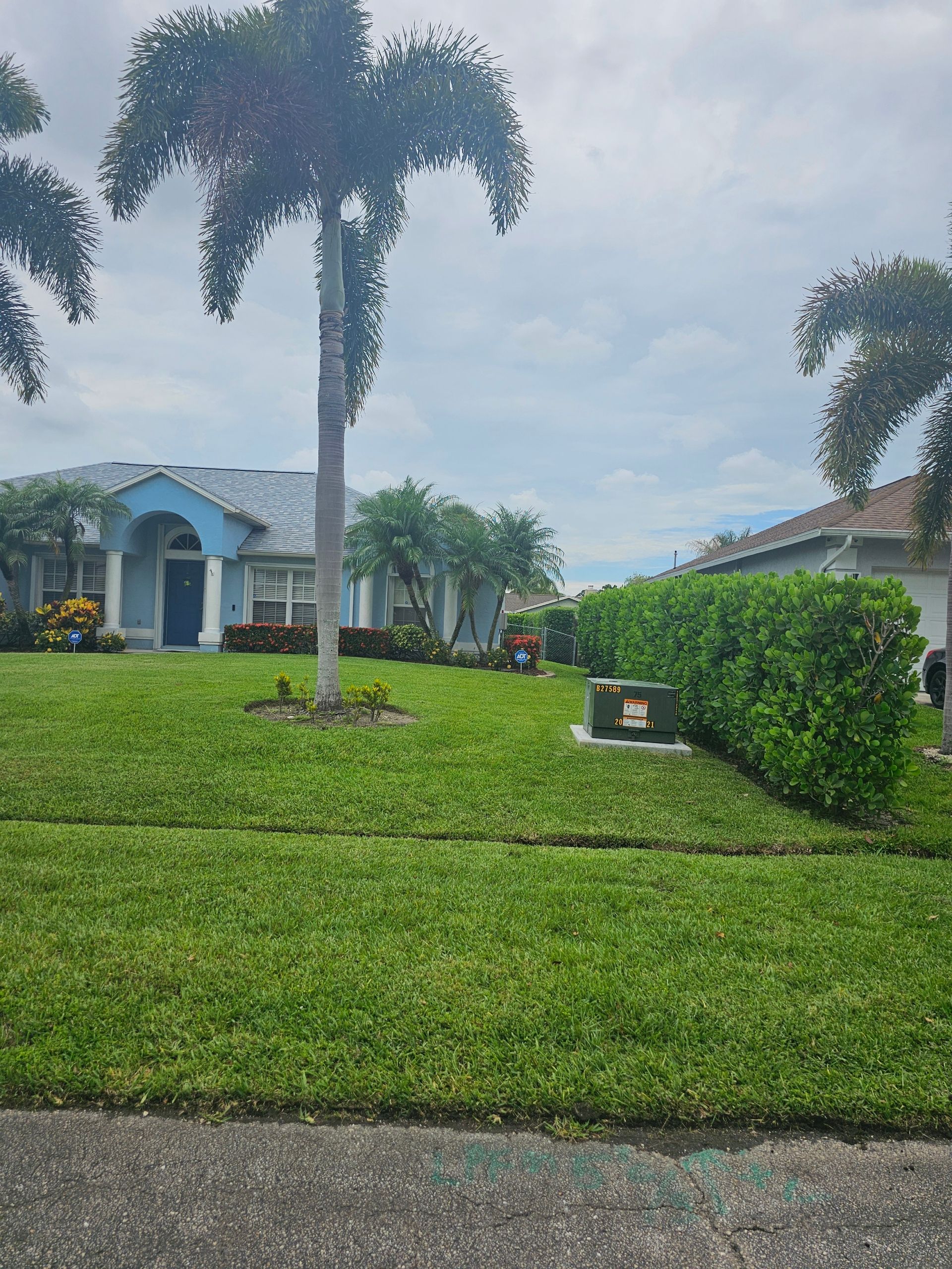 A blue house with a palm tree in front of it