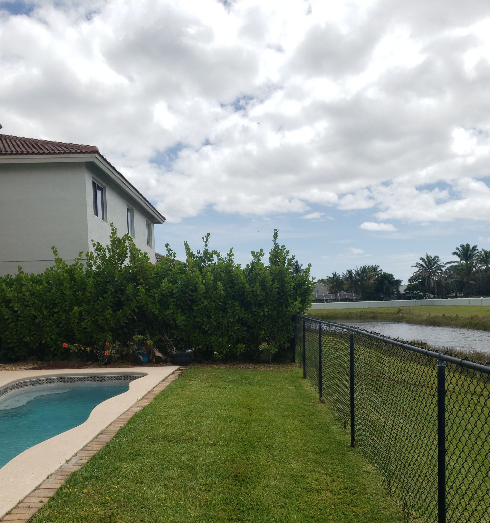 A chain link fence surrounds a large swimming pool