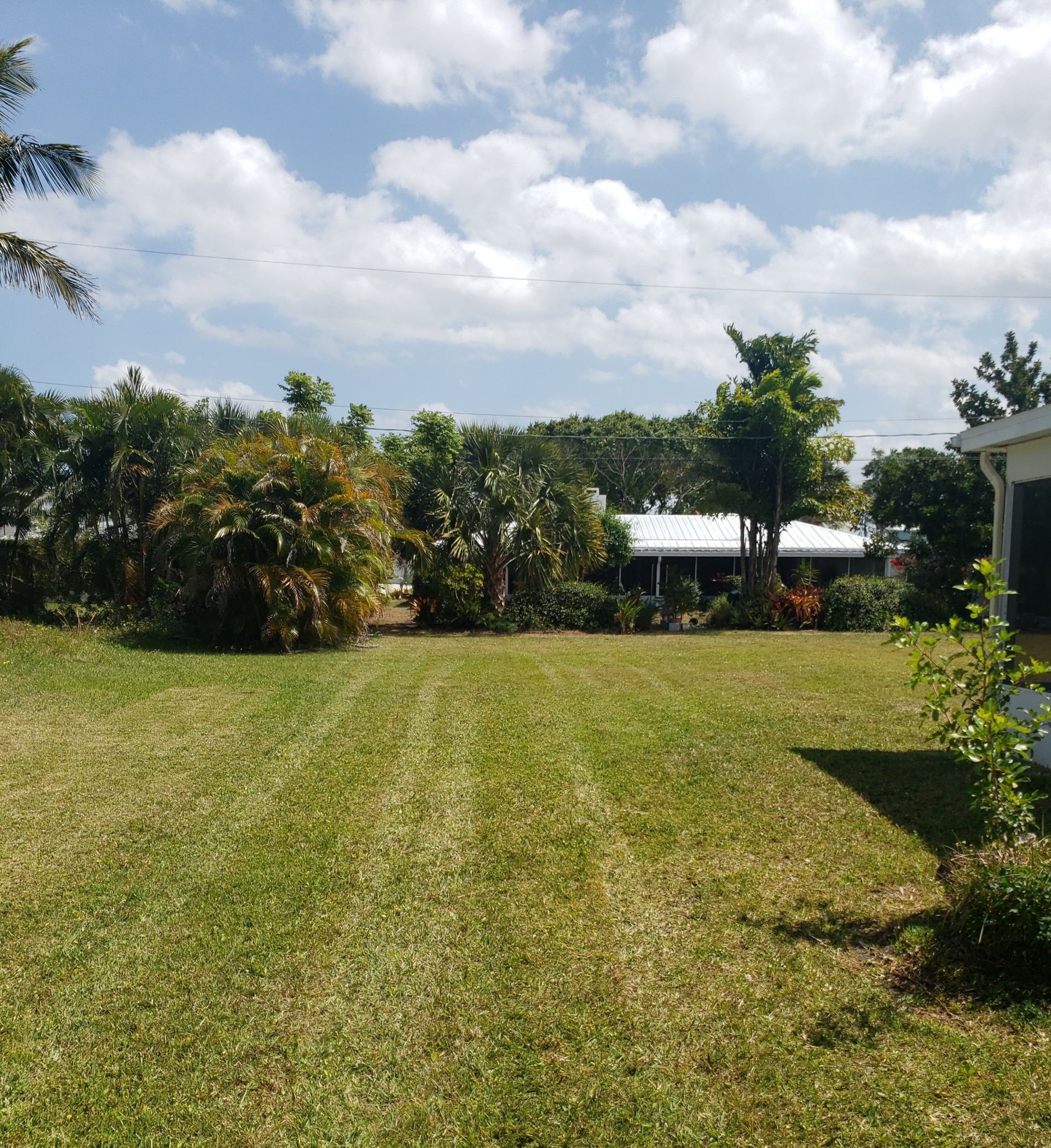 A lush green field with a house in the background