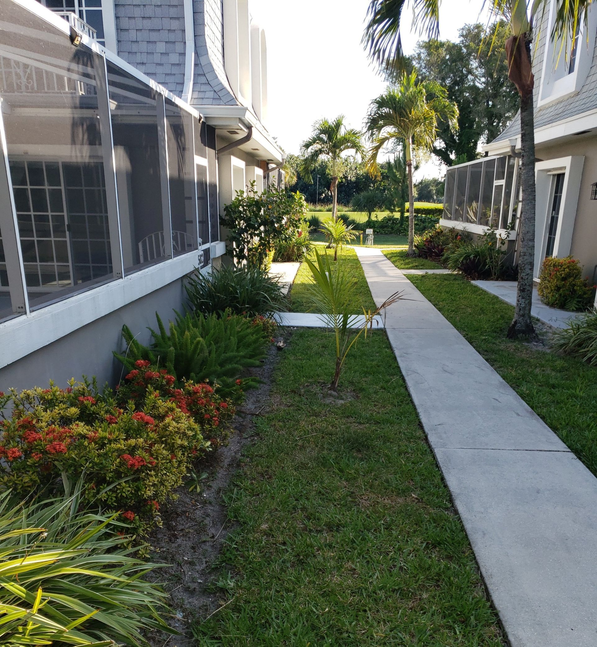 Pathway between two townhouses with small green lawn and bushes, sunny day.