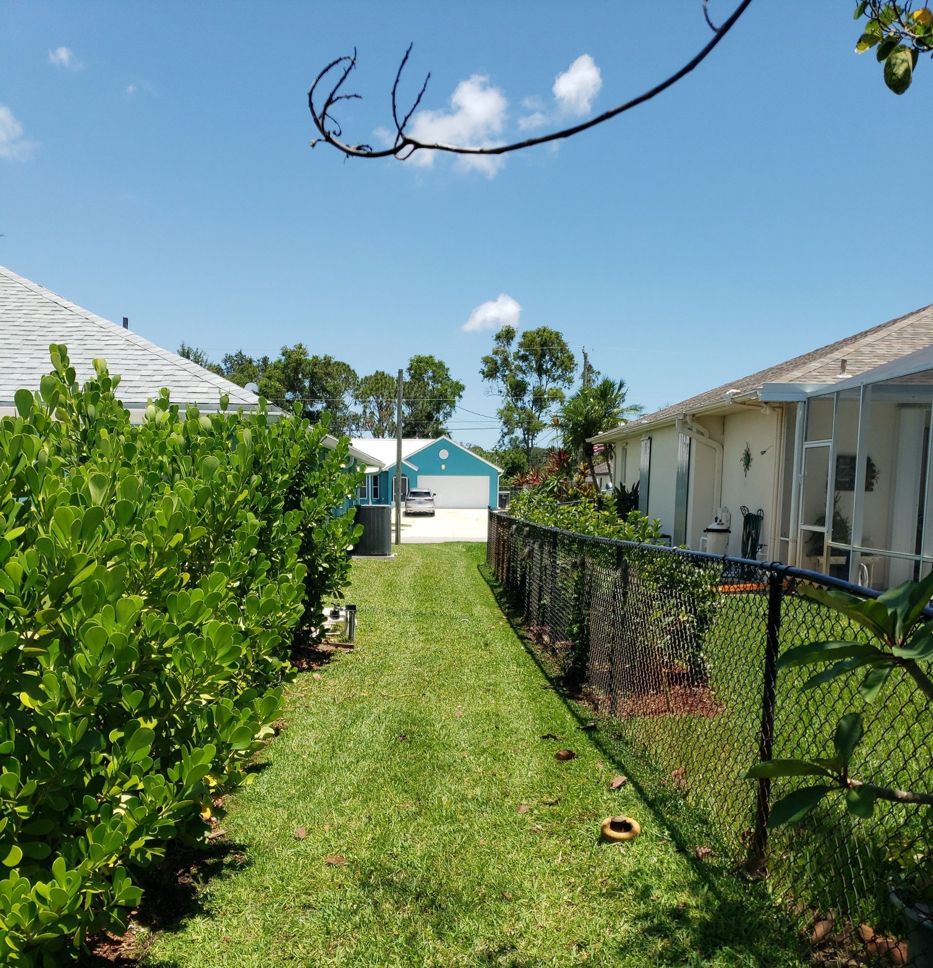 A chain link fence surrounds a lush green yard