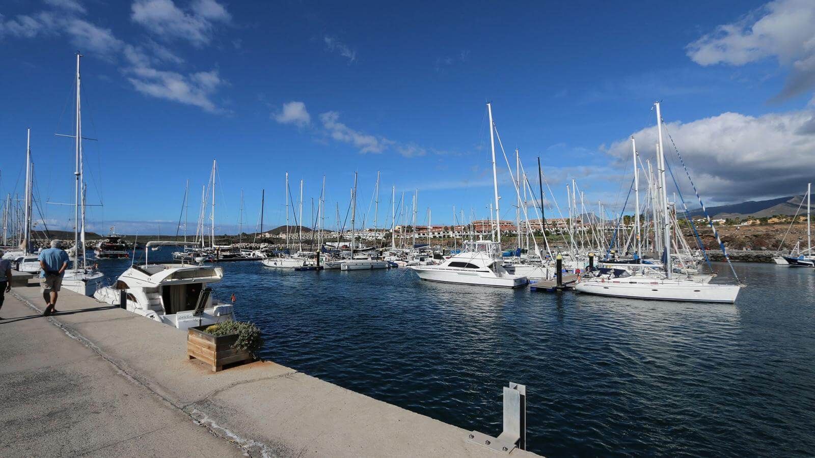 A group of boats are docked in a harbor on a sunny day