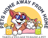 A dog and a cat are sitting on a pillow with drinks.