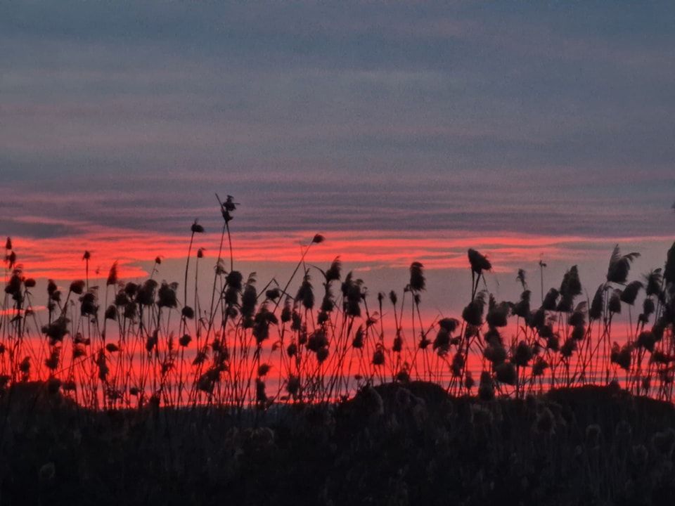 torrevieja playa de la mata casa del ancla aquopolis parque del molino parque aromático zenia boulevar habaneras centro comercial