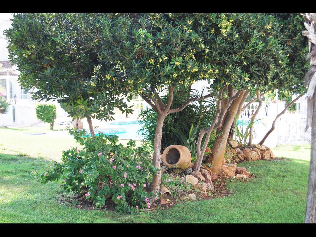 Casa del Ancla Torrevieja, urbanización Camposol Aguas Nuevas