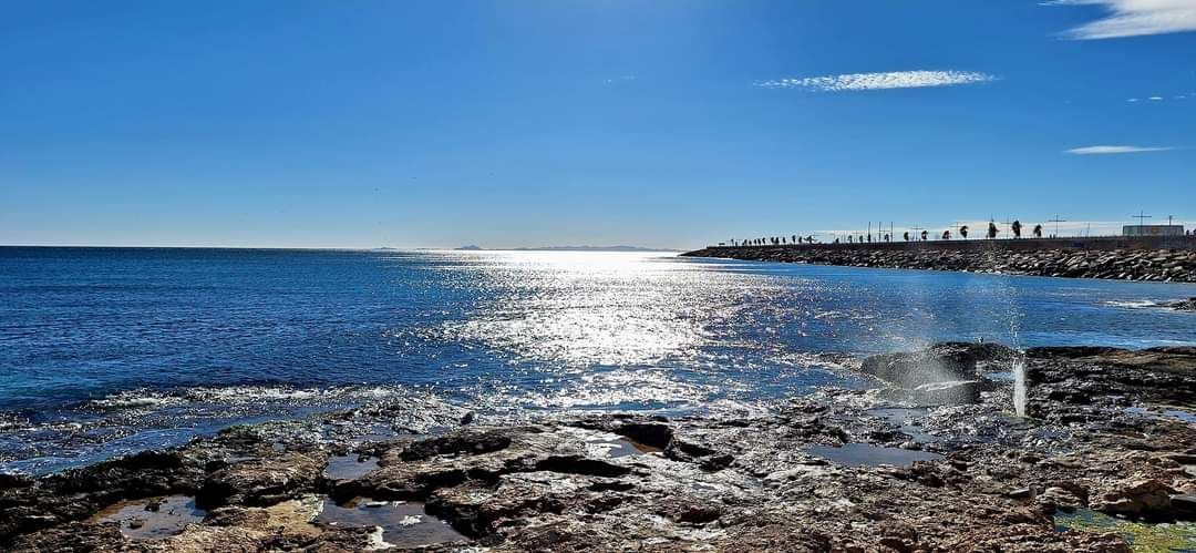 torrevieja playa de la mata casa del ancla aquopolis parque del molino parque aromático zenia boulevar habaneras centro comercial