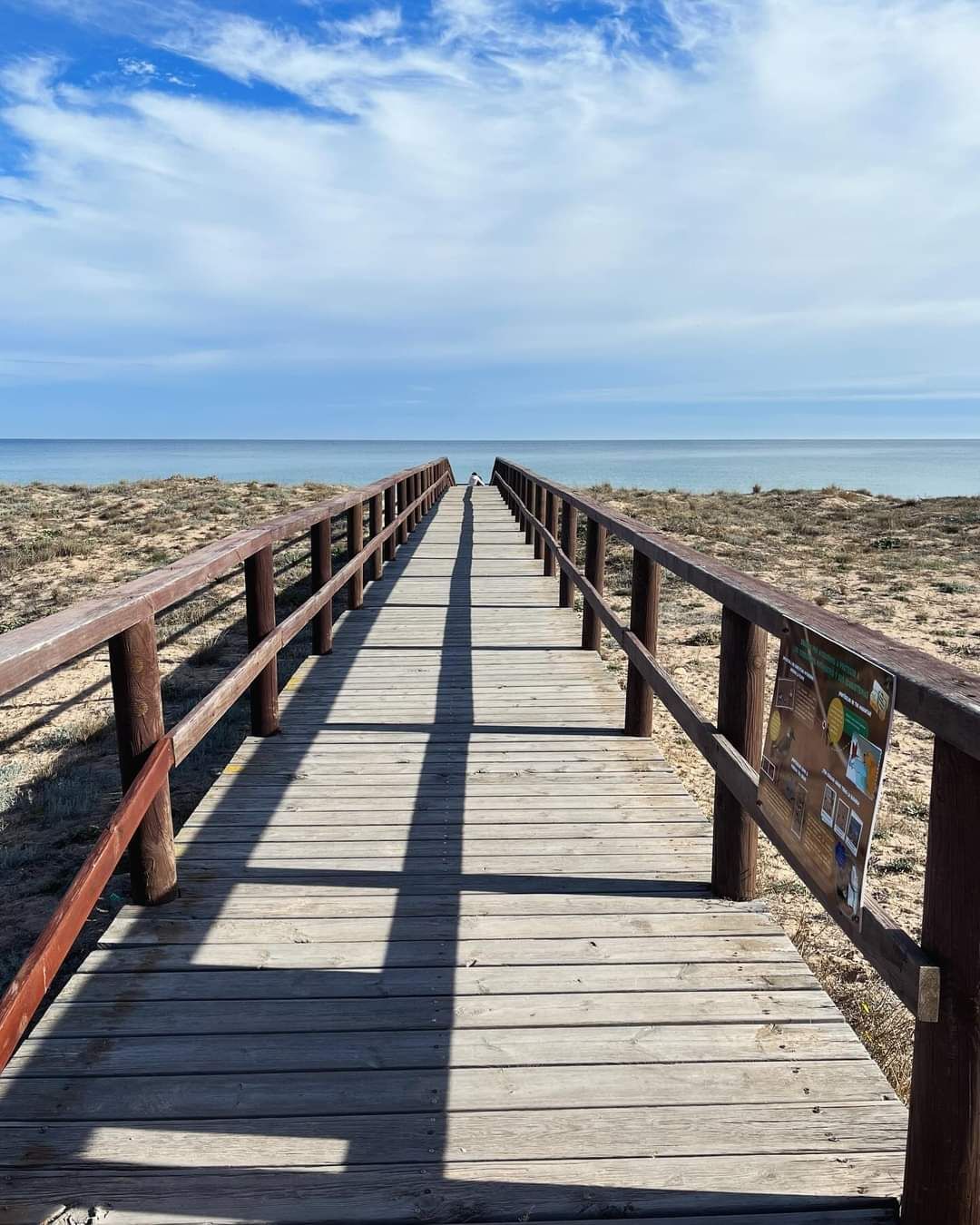 torrevieja playa de la mata casa del ancla aquopolis parque del molino parque aromático zenia boulevar habaneras centro comercial