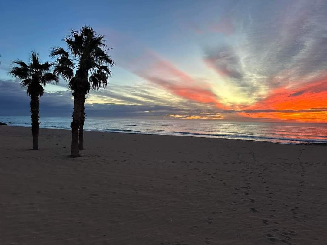 torrevieja playa de la mata casa del ancla aquopolis parque del molino parque aromático zenia boulevar habaneras centro comercial